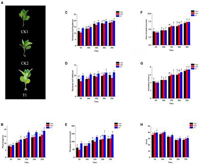 Isolation, identification, and mechanism analysis of plant growth-promoting rhizobacteria in tobacco